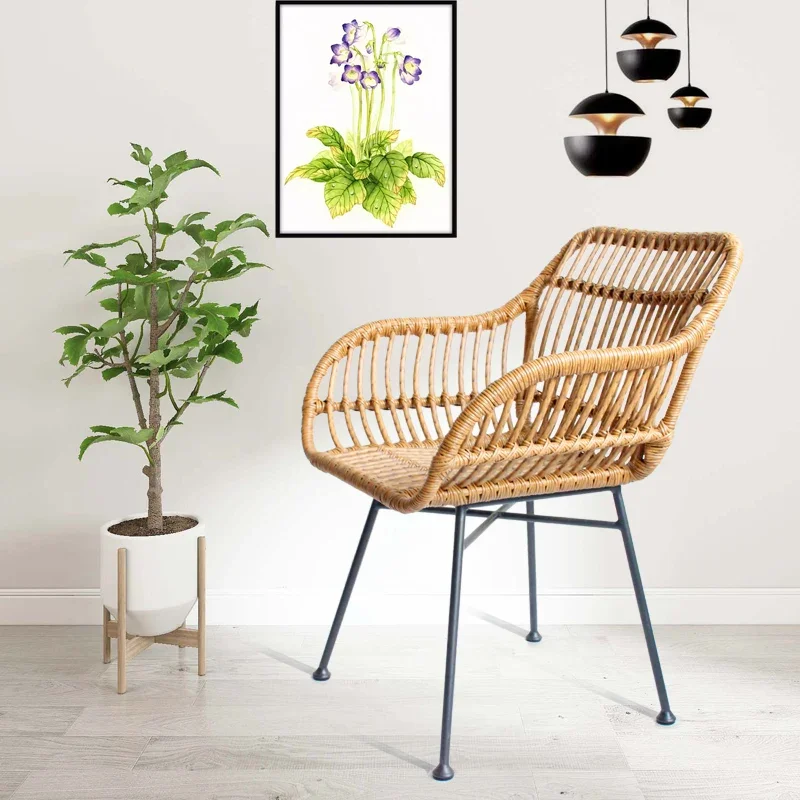Kursi Makan Nordik untuk Dapur - Outdoor Furniture Kitchener ulasan dan harga